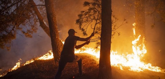 المملكة المغربية تتابع ببالغ الأسى والأسف حرائق الغابات بالجزائر