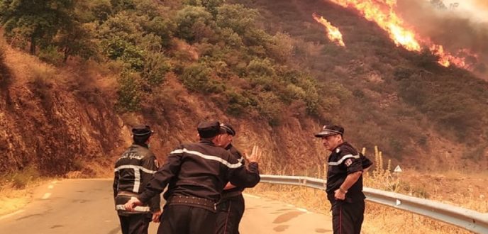 الجزائر.. مقتل 34 شخصا في حرائق الغابات من بينهم 10 جنود