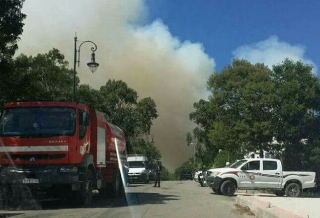 اندلاع حريق مهول بغابة “السلوقية” بطنجة يلتهم مساحات كبيرة من الغطاء النباتي