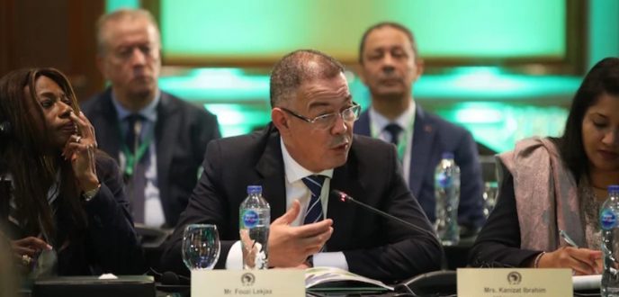 لقجع : استضافة كأس افريقيا 2025 تتويج لمسيرة المغرب التنموية تحت قيادة جلالة الملك