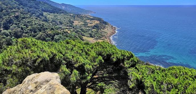 أشغال بناء وقطع للأشجار يهددان غابة الرميلات بطنجة