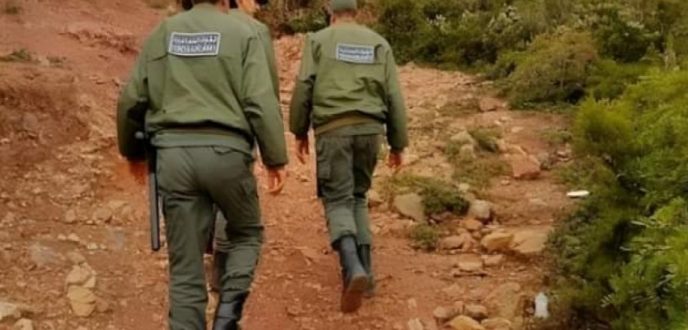 سلطات المضيق توقف أزيد من 300 مرشح للهجرة السرية بالغابات المجاورة