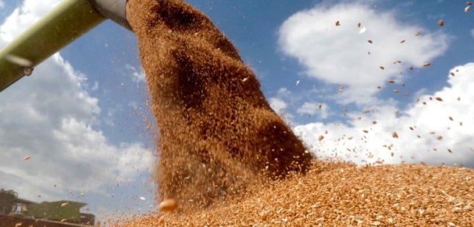 الحكومة تعلن عن تسهيلات جديدة لاستيراد الحبوب والقطاني