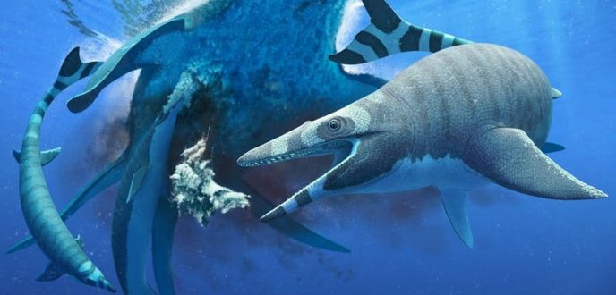 اكتشاف سحالي بحرية عملاقة بسواحل المغرب عاشت قبل 66 مليون سنة