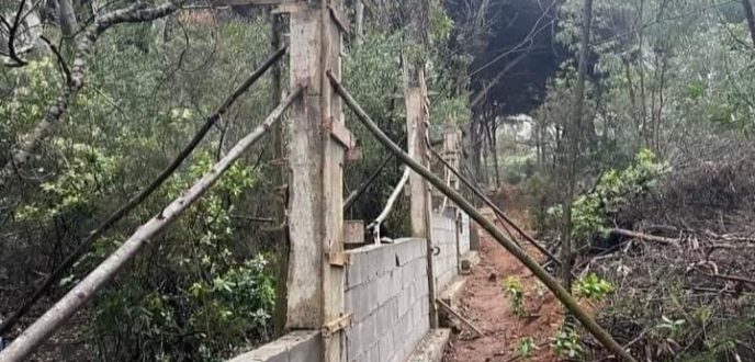 سلطات طنجة توقف أشغال بناء وسط غابة الرميلات