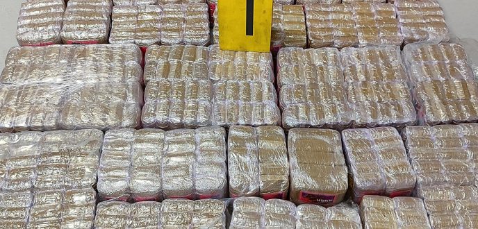 ضبط شاحنة للنقل الدولي محملة بـ467 كلغ من الحشيش بميناء طنجة المتوسط