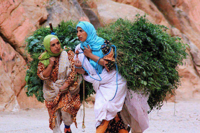 ندوة بالحسيمة تسلط الضوء على التمكين الاقتصادي باعتباره مدخلا لتحسين وضع المرأة القروية