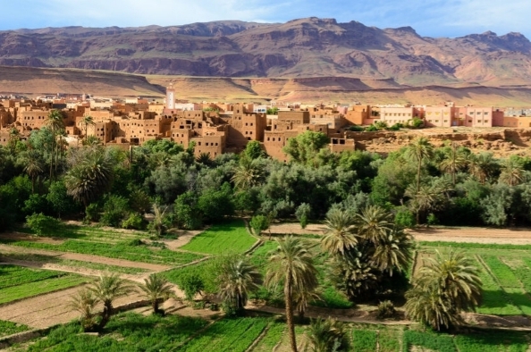 البنك الدولي يشيد باستراتيجية المغرب للحفاظ على الواحات وإحيائها