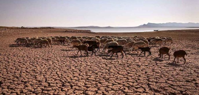 مطالب برلمانية بتقييم حصيلة برنامج التخفيف من آثار الجفاف الذي كلف 20 مليار درهم