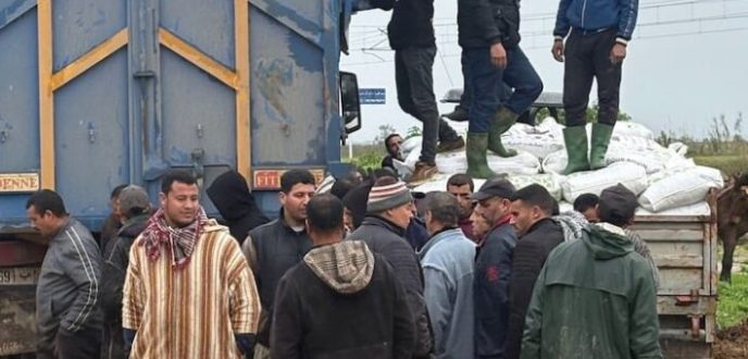 القصر الكبير.. توزيع الأعلاف على الفلاحين المتضررين من الفيضانات