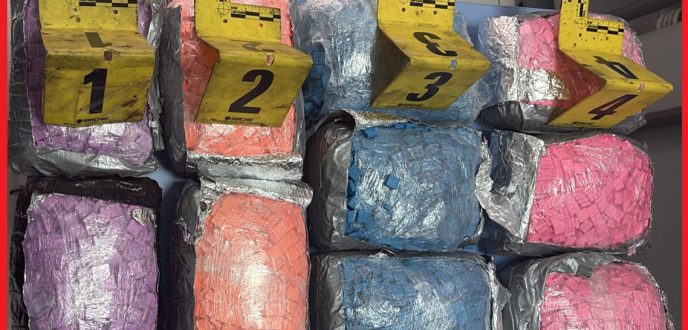 احباط محاولة ادخال أزيد من 19 ألف قرص مخدر عبر ميناء طنجة المتوسط