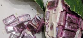 حجز 700 كلغ من مخدر الشيرا مخبأة في قوالب تشبه “الدلاح” وتوقيف أربعة أشخاص بطنجة