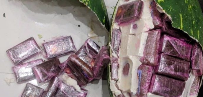 حجز 700 كلغ من مخدر الشيرا مخبأة في قوالب تشبه “الدلاح” وتوقيف أربعة أشخاص بطنجة