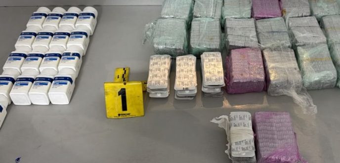 الكلاب البوليسية تقود إلى ضبط شحنة كبيرة من المؤثرات العقلية بميناء طنجة المتوسط